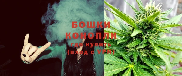винт Бородино