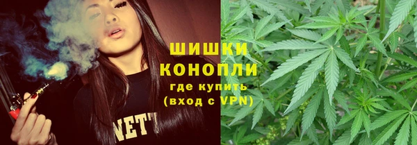 винт Бородино